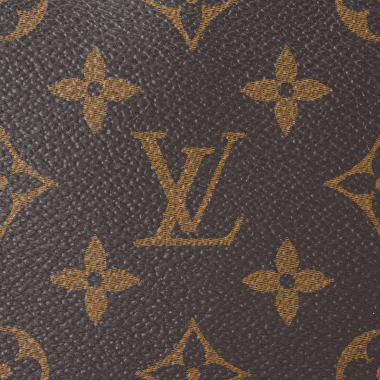 LOUIS VUITTON(USED)루이비통 M46311 루프 호보백
